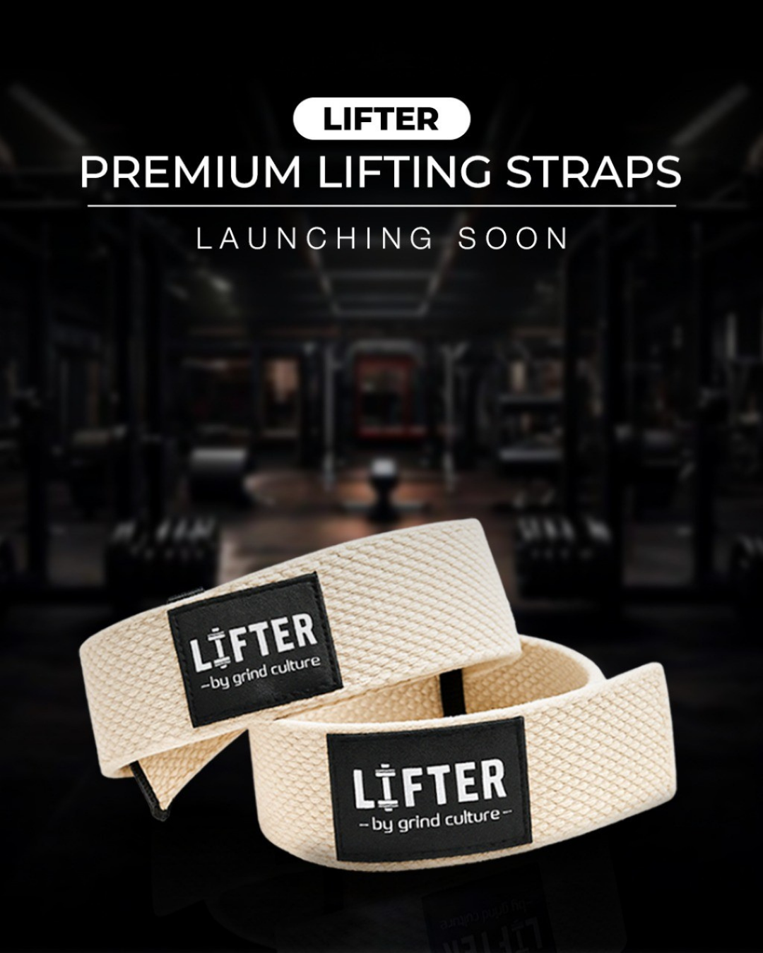 Lifter - Lifting Straps